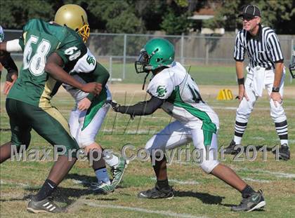 Thumbnail 3 in JV: El Camino @ Rio Americano photogallery.