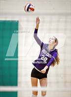 Photo from the gallery "The Academy of the Holy Cross vs. King Abdullah Academy (Tiger Paws Invitational)"