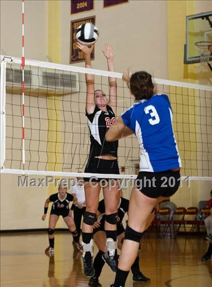 Thumbnail 1 in Waldron vs Edinburgh (IHSAA Volleyball Sectionals) photogallery.