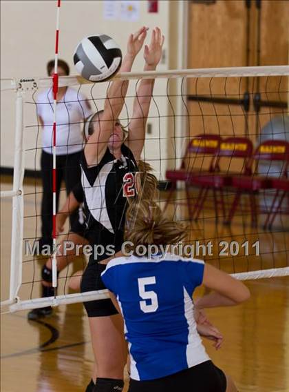 Thumbnail 3 in Waldron vs Edinburgh (IHSAA Volleyball Sectionals) photogallery.