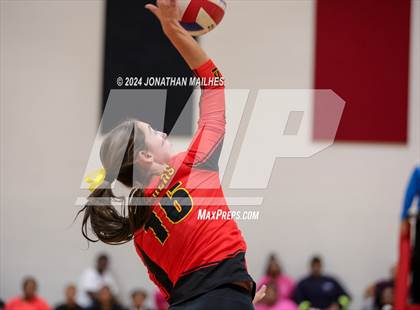 Thumbnail 1 in Scotlandville @ Brusly photogallery.