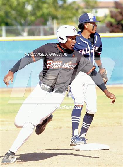 Thumbnail 1 in Pittsburg @ Freedom (Bay Valley Athletic League D1 Final) photogallery.