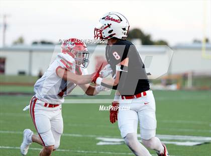 Thumbnail 3 in Holliday @ Muenster photogallery.