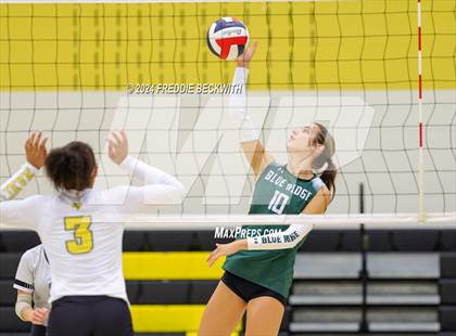 Thumbnail 2 in Blue Ridge @ Denison (Hwy 75 Volleyfest) photogallery.
