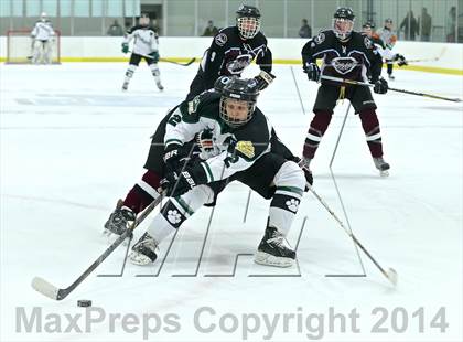 Thumbnail 3 in Okemos @ Jenison photogallery.