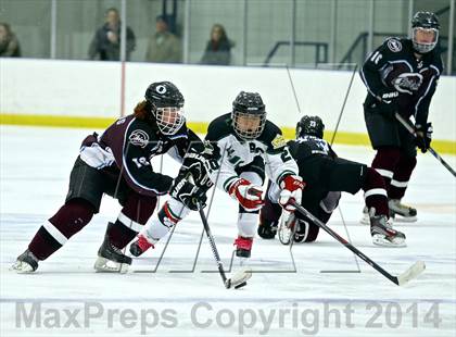 Thumbnail 3 in Okemos @ Jenison photogallery.