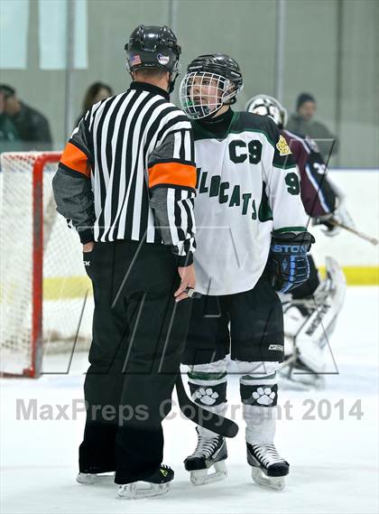 Thumbnail 3 in Okemos @ Jenison photogallery.