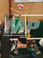 Photo from the gallery "Burbank @ Kennedy"