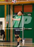 Photo from the gallery "Burbank @ Kennedy"