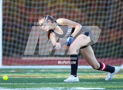 Thumbnail 1 in Trumbull @ Warde photogallery.