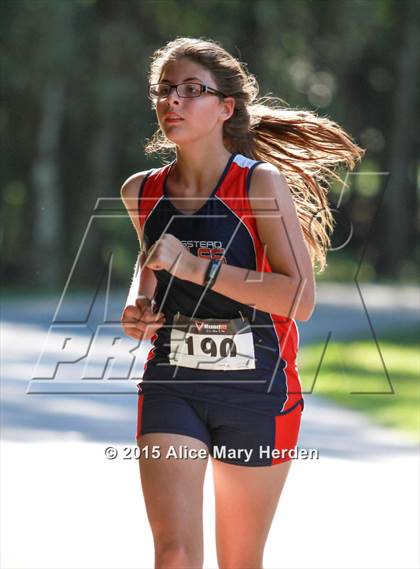 Thumbnail 2 in Hernando vs. Citrus Girls Classic photogallery.