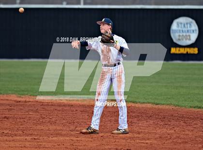 Thumbnail 1 in South-Doyle @ Seymour photogallery.