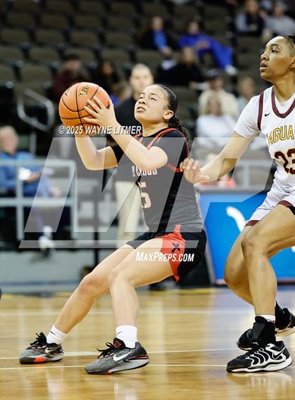 Thumbnail 3 in Holy Cross @ Cooper (Ninth Region Tournament) photogallery.