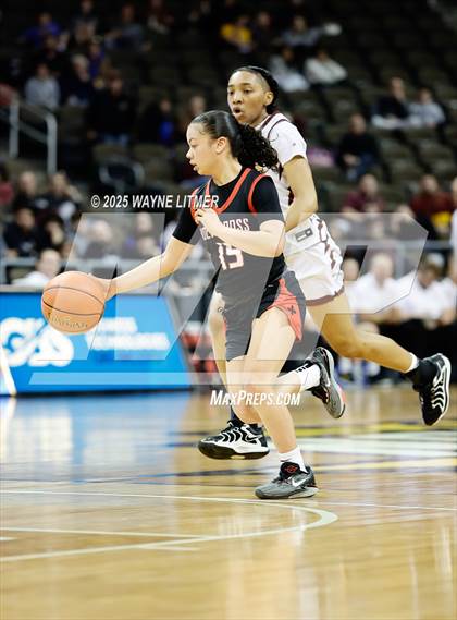 Thumbnail 1 in Holy Cross @ Cooper (Ninth Region Tournament) photogallery.