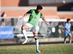 Photo from the gallery "Green Hope @ Panther Creek"