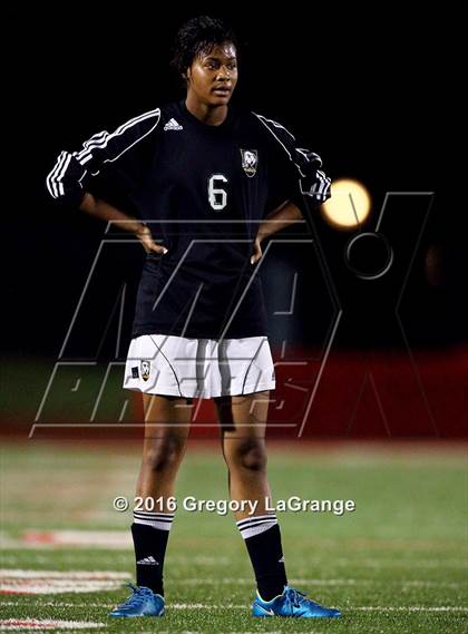 Thumbnail 3 in Birdville @ Grapevine photogallery.