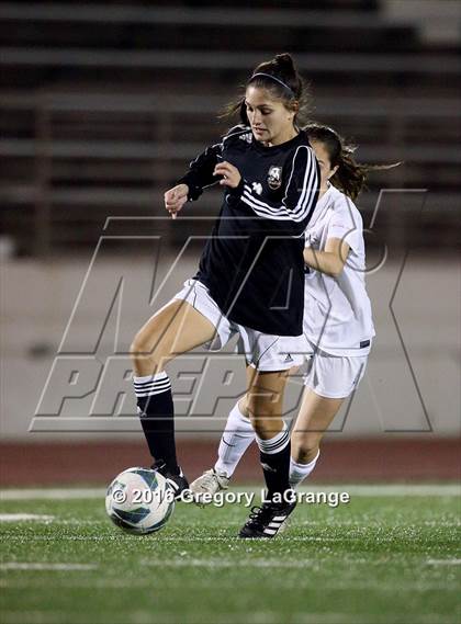 Thumbnail 1 in Birdville @ Grapevine photogallery.