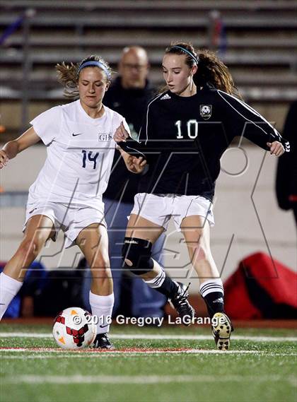 Thumbnail 1 in Birdville @ Grapevine photogallery.