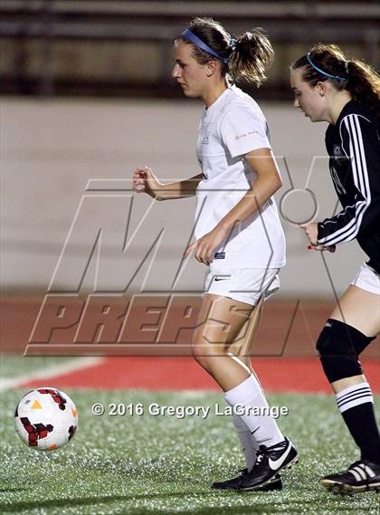 Thumbnail 2 in Birdville @ Grapevine photogallery.