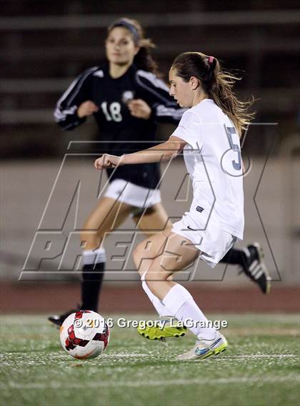 Thumbnail 1 in Birdville @ Grapevine photogallery.