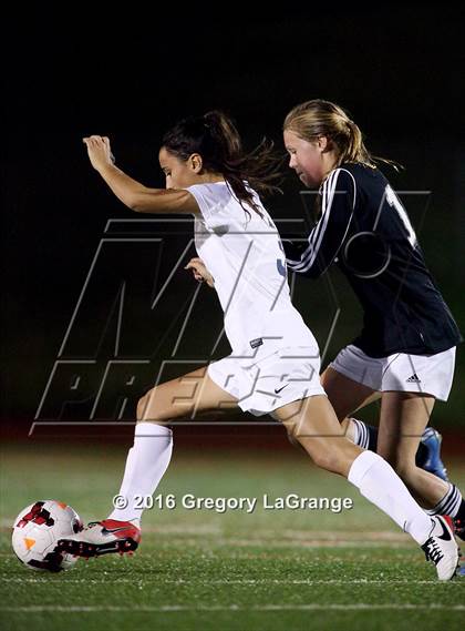 Thumbnail 3 in Birdville @ Grapevine photogallery.