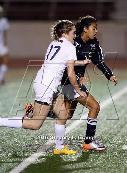 Thumbnail 1 in Birdville @ Grapevine photogallery.
