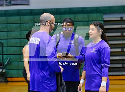 Thumbnail 1 in Mustang Preseason Weightlifting Invitational photogallery.