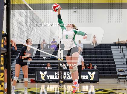 Thumbnail 2 in Pilot Point vs. Tioga (Denison Tournament) photogallery.