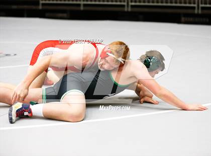Thumbnail 1 in UHSAA 3A Championships photogallery.
