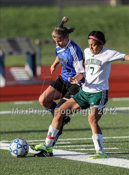 Thumbnail 1 in Mansfield Summit vs. Trimble Tech (4A Area Playoffs) photogallery.