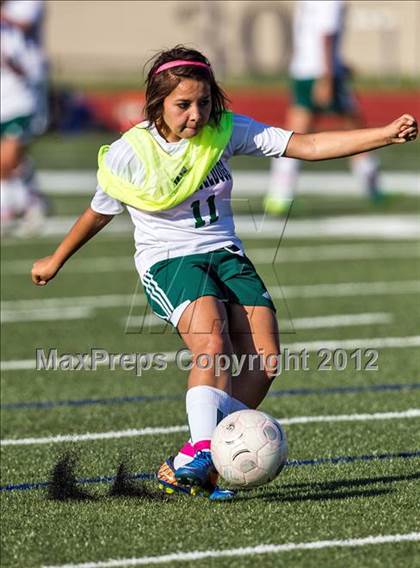 Thumbnail 2 in Mansfield Summit vs. Trimble Tech (4A Area Playoffs) photogallery.