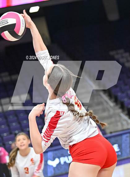 Thumbnail 2 in Seton Catholic @ Valley Christian (Dig for a Cure) photogallery.