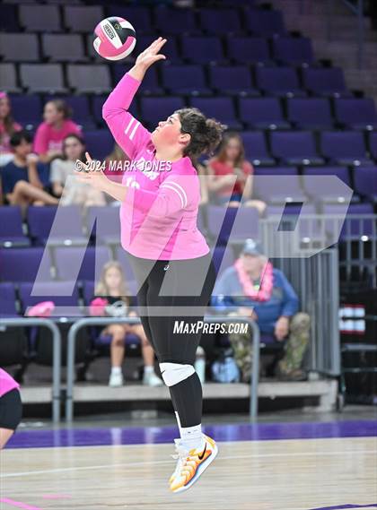 Thumbnail 3 in Seton Catholic @ Valley Christian (Dig for a Cure) photogallery.