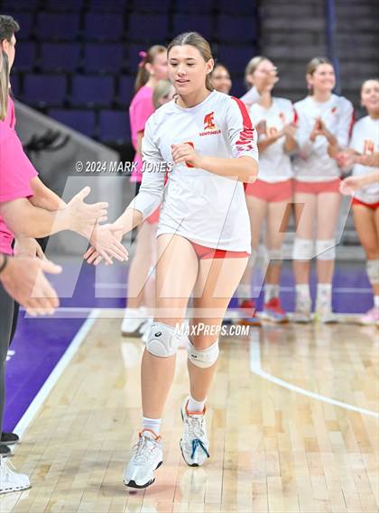 Thumbnail 3 in Seton Catholic @ Valley Christian (Dig for a Cure) photogallery.