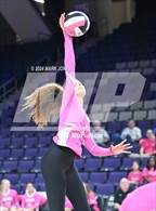 Photo from the gallery "Seton Catholic @ Valley Christian (Dig for a Cure)"