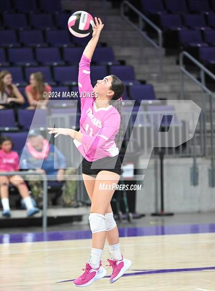 Thumbnail 2 in Seton Catholic @ Valley Christian (Dig for a Cure) photogallery.