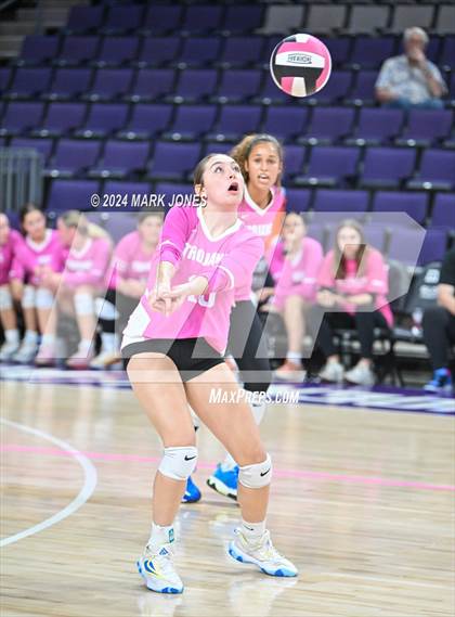 Thumbnail 3 in Seton Catholic @ Valley Christian (Dig for a Cure) photogallery.