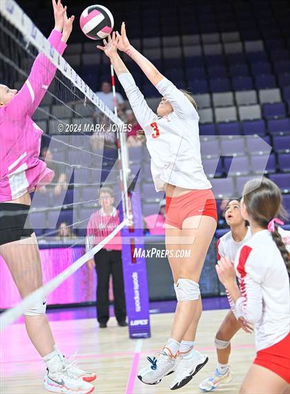 Thumbnail 3 in Seton Catholic @ Valley Christian (Dig for a Cure) photogallery.