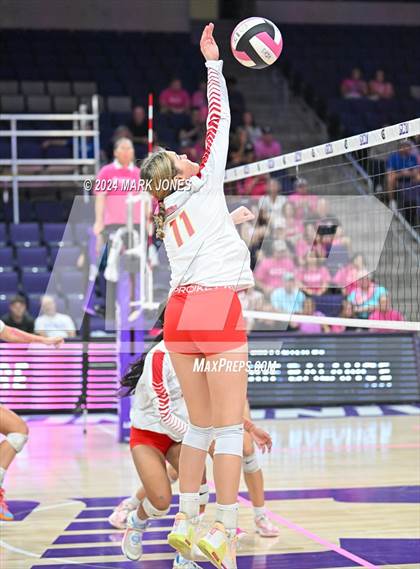 Thumbnail 2 in Seton Catholic @ Valley Christian (Dig for a Cure) photogallery.