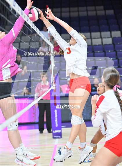 Thumbnail 1 in Seton Catholic @ Valley Christian (Dig for a Cure) photogallery.