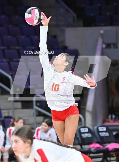 Thumbnail 2 in Seton Catholic @ Valley Christian (Dig for a Cure) photogallery.