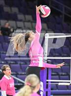 Photo from the gallery "Seton Catholic @ Valley Christian (Dig for a Cure)"