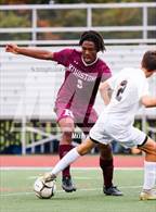 Photo from the gallery "Pine Bush @ Kingston"