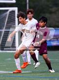 Photo from the gallery "Pine Bush @ Kingston"
