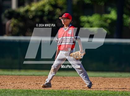 Thumbnail 3 in Berean Baptist Academy @ Northwood Temple Academy photogallery.