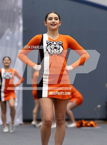 Thumbnail 2 in Los Gatos - CIF Northern Regional Cheer Championships photogallery.