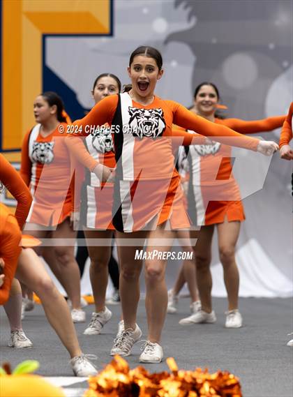 Thumbnail 3 in Los Gatos - CIF Northern Regional Cheer Championships photogallery.