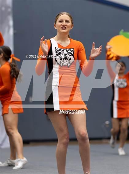 Thumbnail 1 in Los Gatos - CIF Northern Regional Cheer Championships photogallery.