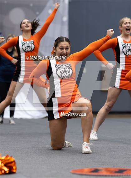 Thumbnail 1 in Los Gatos - CIF Northern Regional Cheer Championships photogallery.
