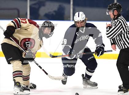 Thumbnail 3 in Loomis @ Hotchkiss photogallery.